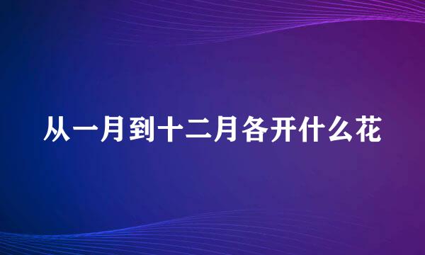 从一月到十二月各开什么花