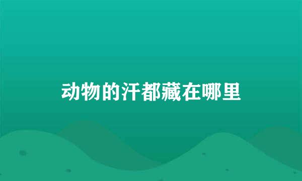 动物的汗都藏在哪里