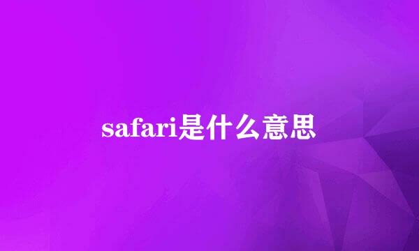 safari是什么意思