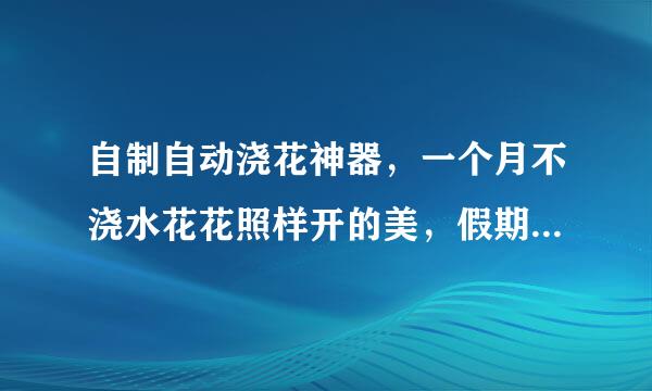 自制自动浇花神器，一个月不浇水花花照样开的美，假期放心去旅行