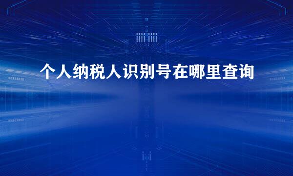 个人纳税人识别号在哪里查询