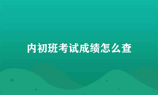 内初班考试成绩怎么查