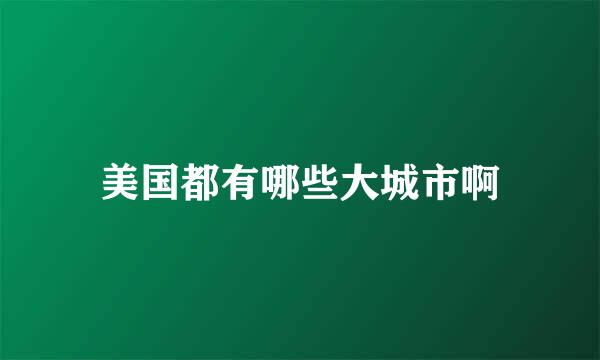 美国都有哪些大城市啊