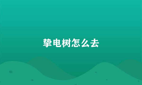 挚电树怎么去