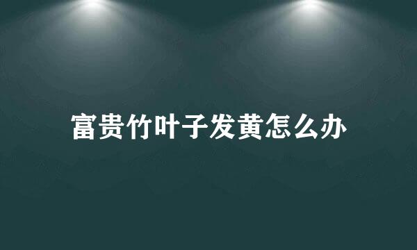 富贵竹叶子发黄怎么办