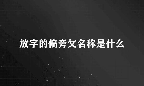 放字的偏旁攵名称是什么