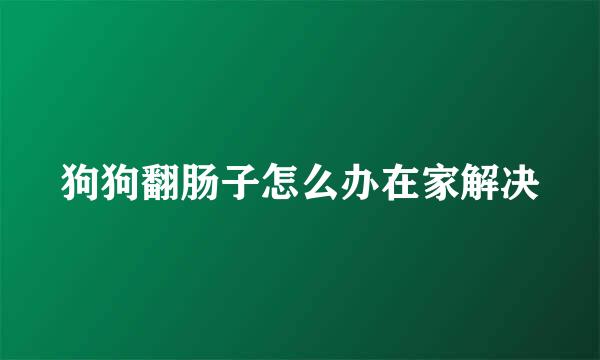 狗狗翻肠子怎么办在家解决