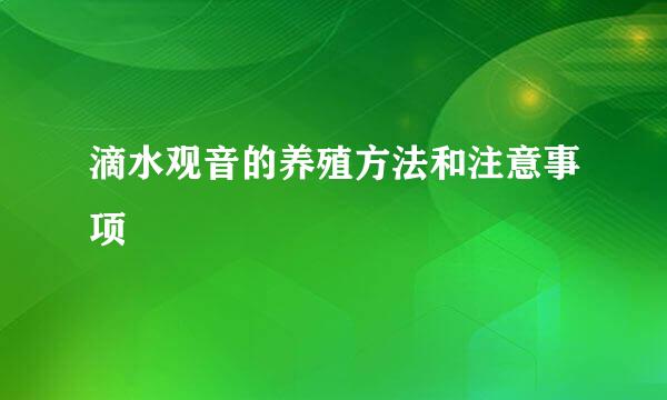 滴水观音的养殖方法和注意事项