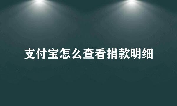 支付宝怎么查看捐款明细