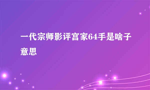 一代宗师影评宫家64手是啥子意思