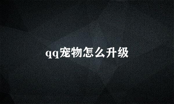 qq宠物怎么升级