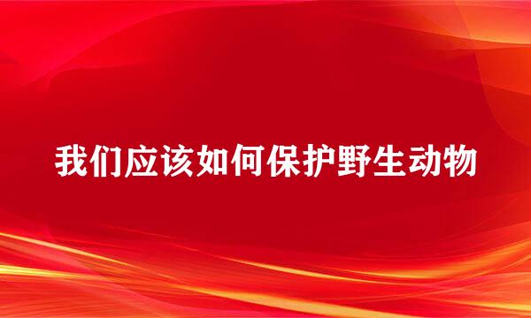 我们应该如何保护野生动物