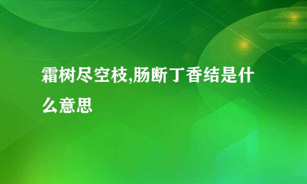 霜树尽空枝,肠断丁香结是什么意思