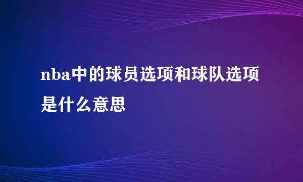 nba中的球员选项和球队选项是什么意思