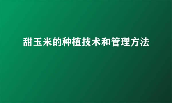 甜玉米的种植技术和管理方法