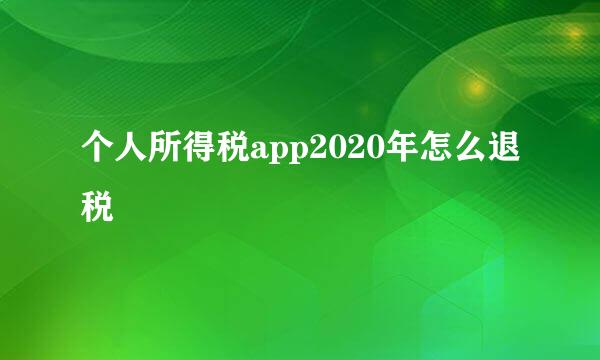 个人所得税app2020年怎么退税