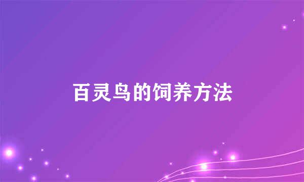 百灵鸟的饲养方法