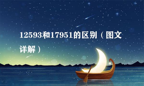 12593和17951的区别（图文详解）