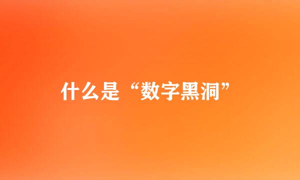 什么是“数字黑洞”