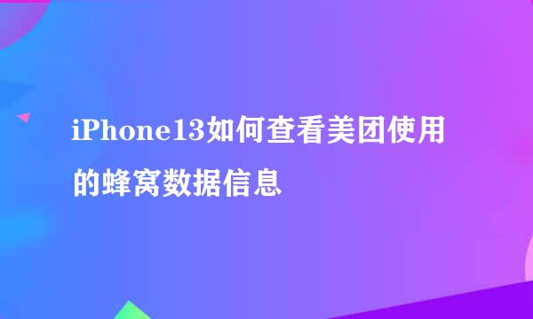 iPhone13如何查看美团使用的蜂窝数据信息