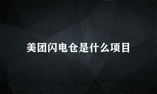 美团闪电仓是什么项目