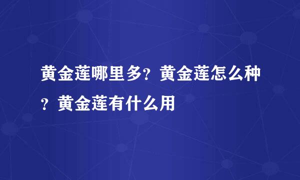 黄金莲哪里多？黄金莲怎么种？黄金莲有什么用