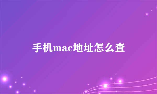 手机mac地址怎么查