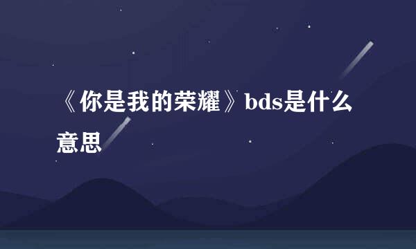 《你是我的荣耀》bds是什么意思