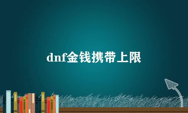 dnf金钱携带上限