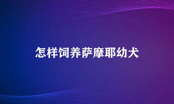 怎样饲养萨摩耶幼犬