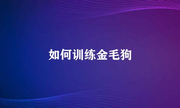 如何训练金毛狗