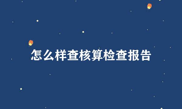 怎么样查核算检查报告