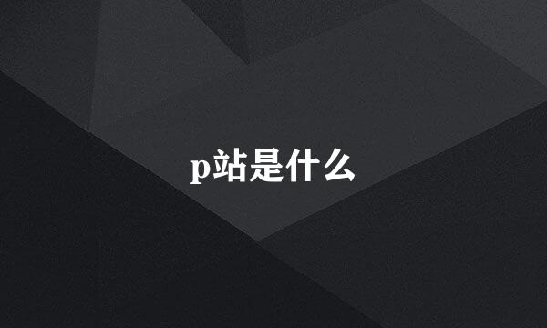 p站是什么