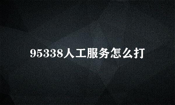 95338人工服务怎么打