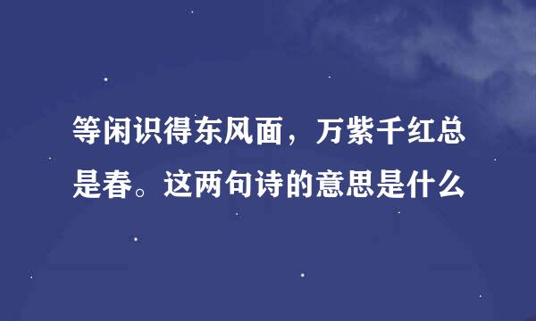 等闲识得东风面，万紫千红总是春。这两句诗的意思是什么