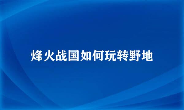 烽火战国如何玩转野地