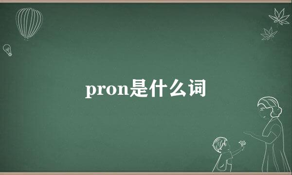 pron是什么词