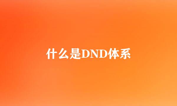 什么是DND体系