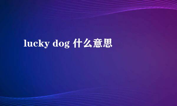 lucky dog 什么意思