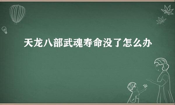 天龙八部武魂寿命没了怎么办