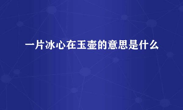 一片冰心在玉壶的意思是什么