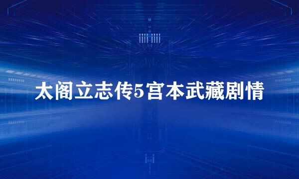 太阁立志传5宫本武藏剧情