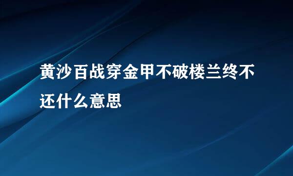 黄沙百战穿金甲不破楼兰终不还什么意思