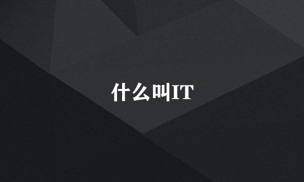 什么叫IT