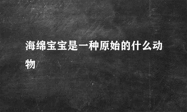 海绵宝宝是一种原始的什么动物