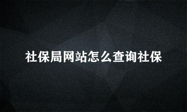 社保局网站怎么查询社保