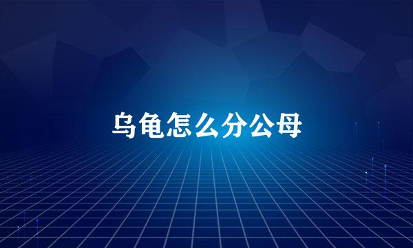 乌龟怎么分公母