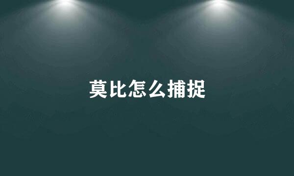 莫比怎么捕捉