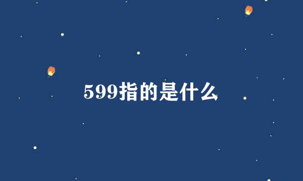 599指的是什么