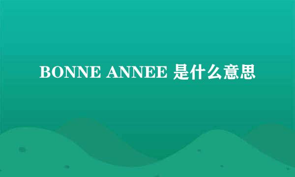 BONNE ANNEE 是什么意思